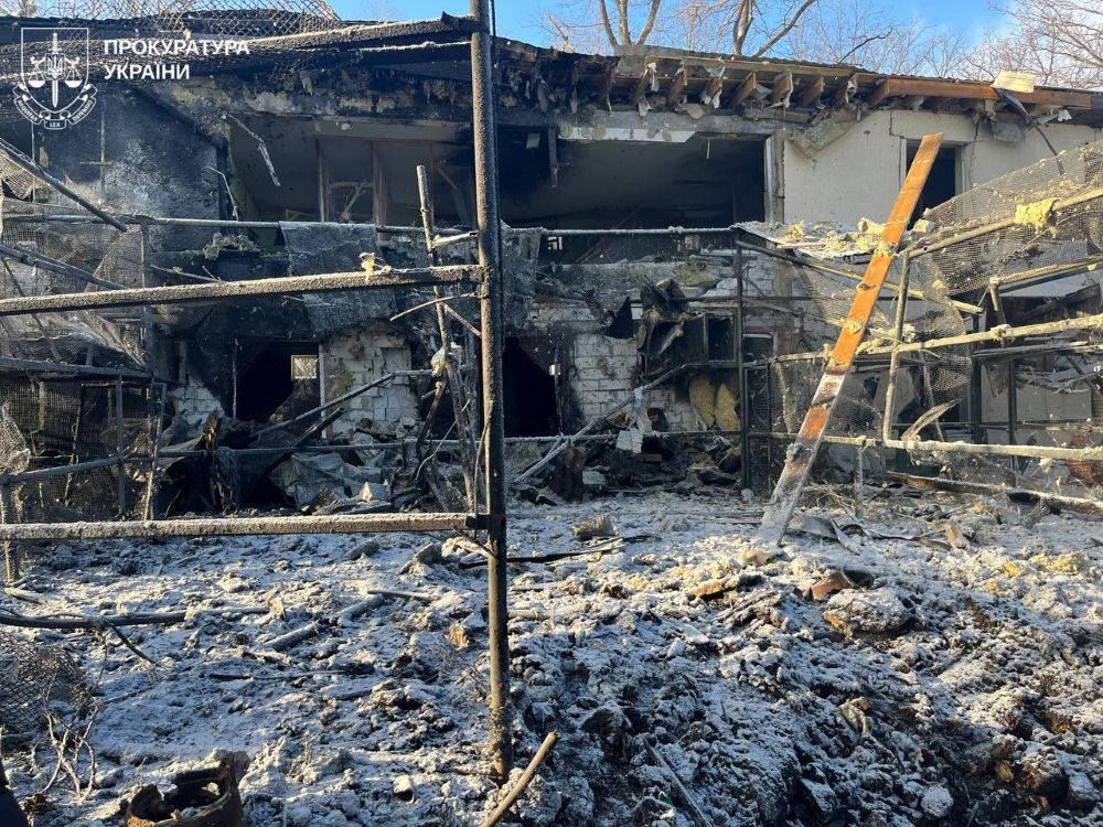 Скандал после атаки РФ: экопарк в Харькове обвиняют в жестокости к животным 1