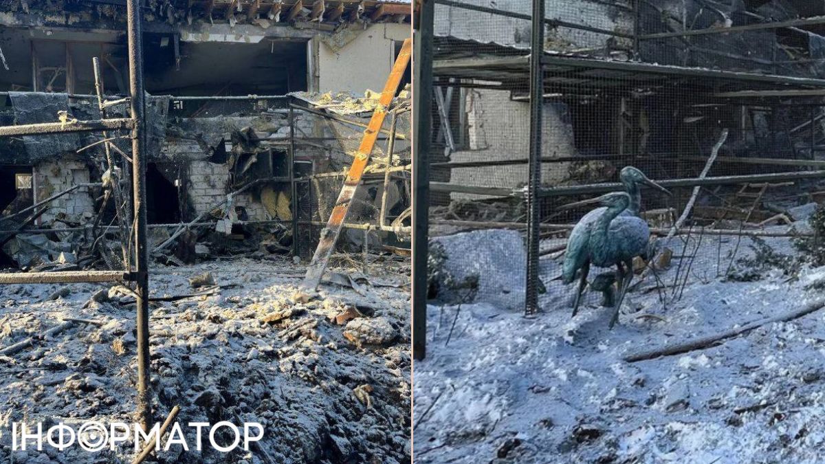 Скандал після атаки РФ: екопарк у Харкові звинувачують у жорстокому поводженні з тваринами