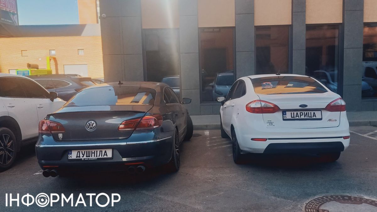 Щоб не платити штраф, перевірте номери вашого авто: добра порада від МВС