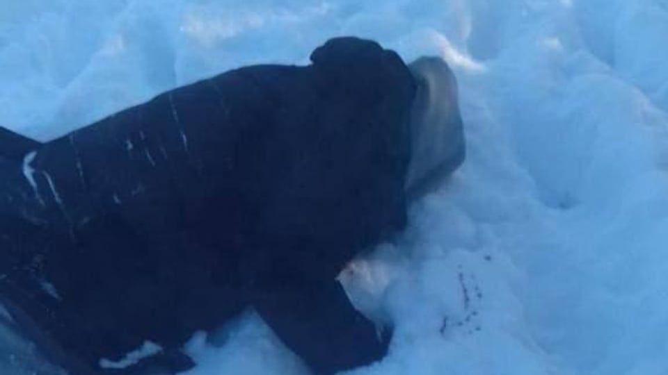 Відставка Малюка: чим він запамʼятався українцям 3