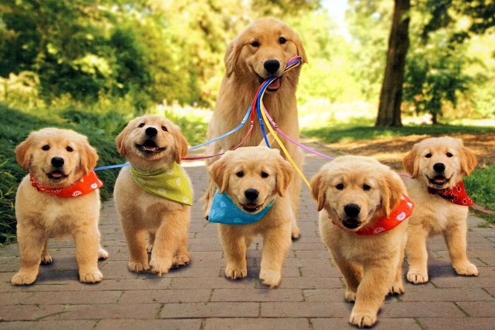 Новая формула более приближена к физиологическим изменениям