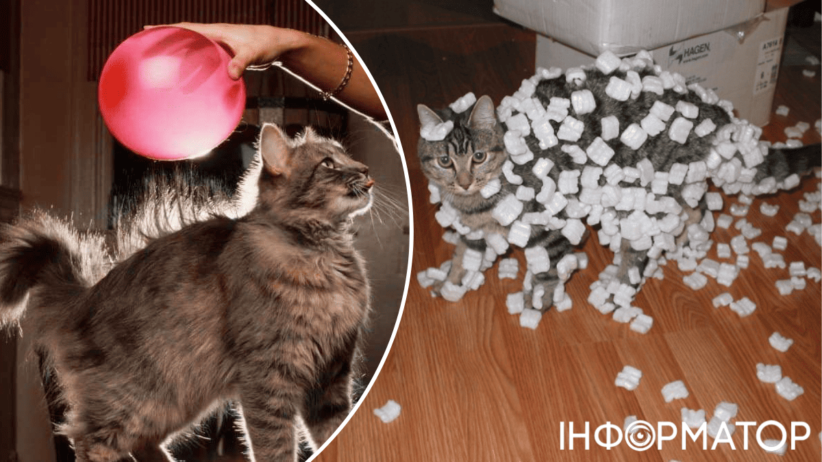 Как добыть из кота электричество и почему зимой они сильнее бьются током