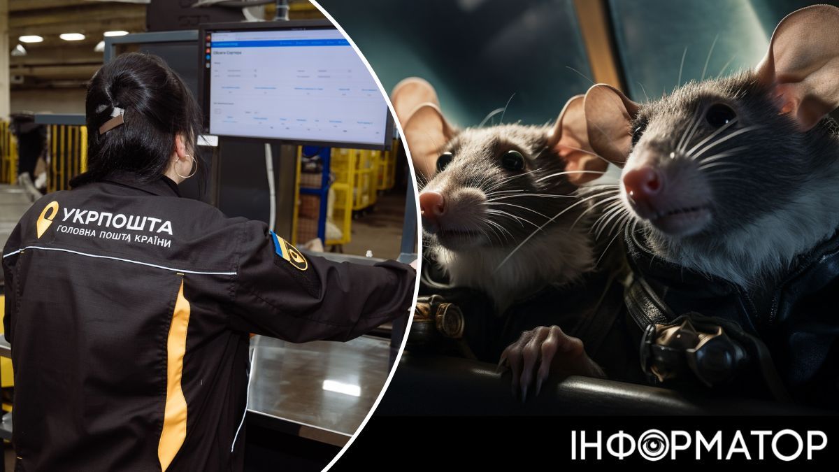Ризики чуми, тифу, лихоманки, лептоспірозу: Укрпошта відповіла, звідки беруться мертві миші у посилках