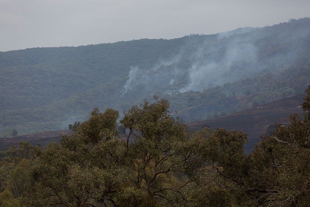 Пожежі в Австралії. Фото - Getty images
