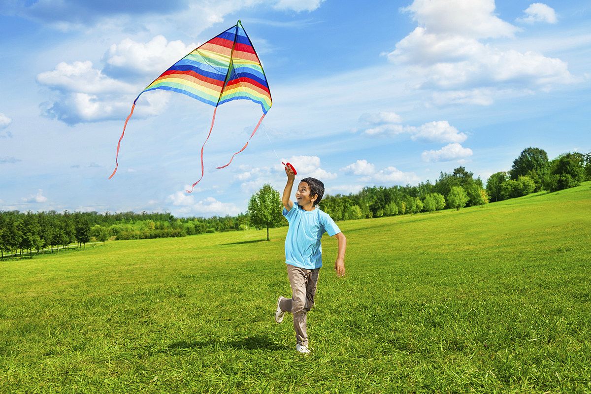 Повітряні змії символізують свободу, творчість Яка сьогодні, 14 січня, дата: 4