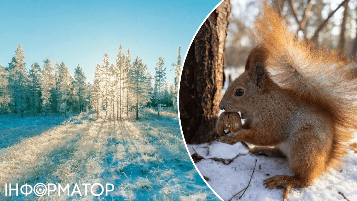 Зима з крайнощами: Україна між потеплінням і морозами до −23°С – прогноз погоди на 15 січня
