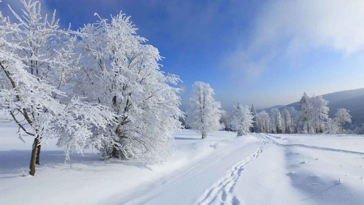 Яке сьогодні, 18 січня, свято: Всесвітній день снігу, релігії та Вінні-Пуха 2