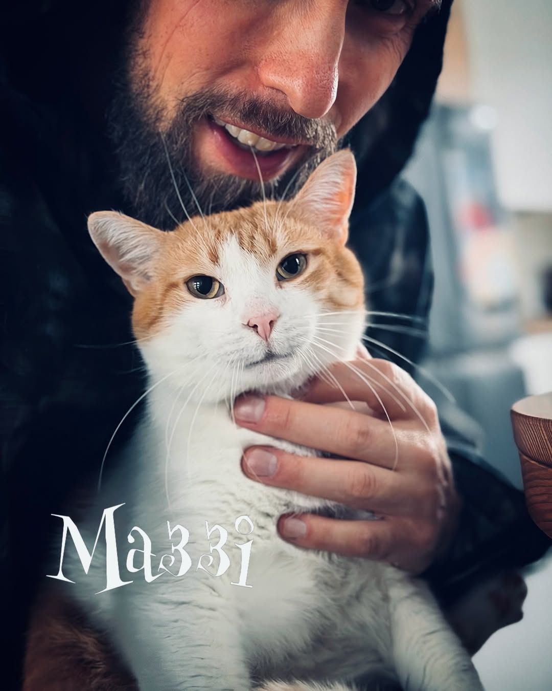 Кіт Маззі став зіркою котячого інстаграму