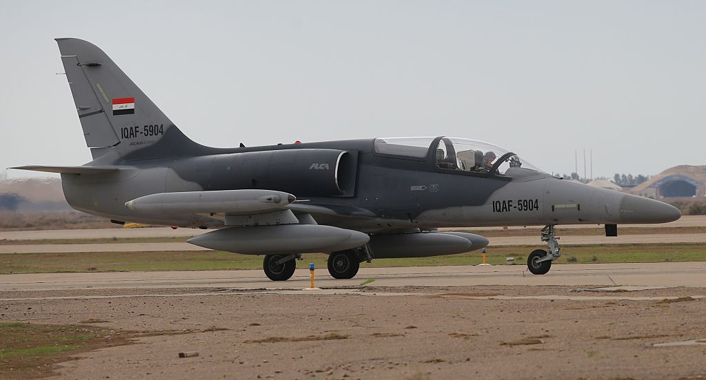 Чеський винищувач L-159.Фото: Getty Images