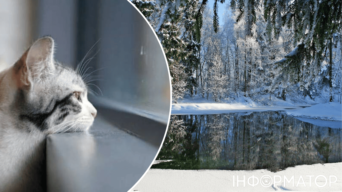 В Украину наконец возвращается солнце – прогноз погоды на 21 января