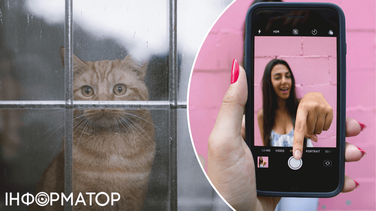 Какой сегодня, 25 января, праздник: День без интернета, но наблюдения за погодой