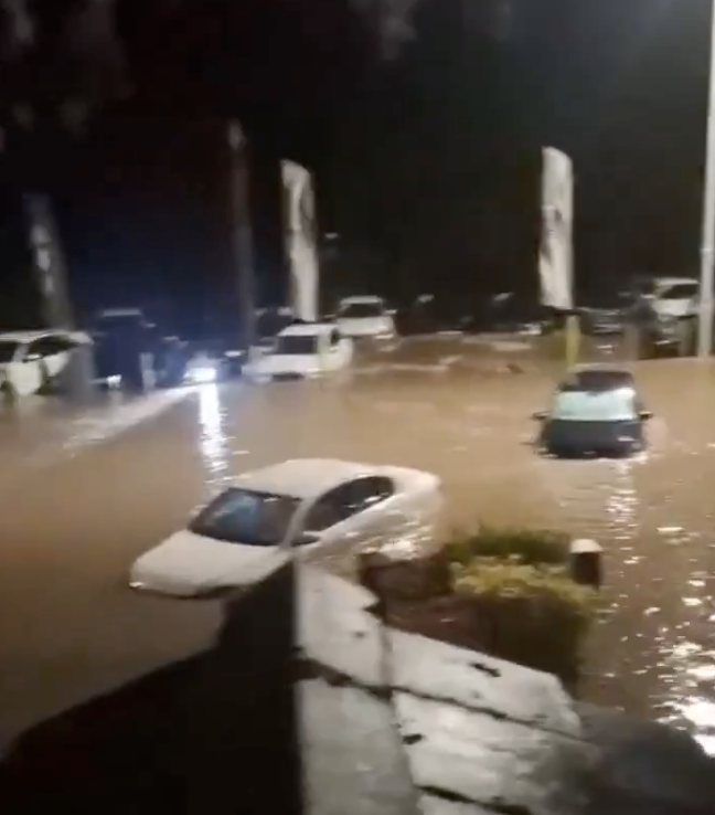 Скриншот: Top_Disaster