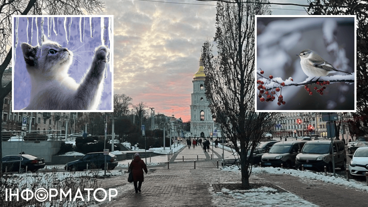Відома дата нового піку морозів, і це не завтра – прогноз погоди на 29 січня