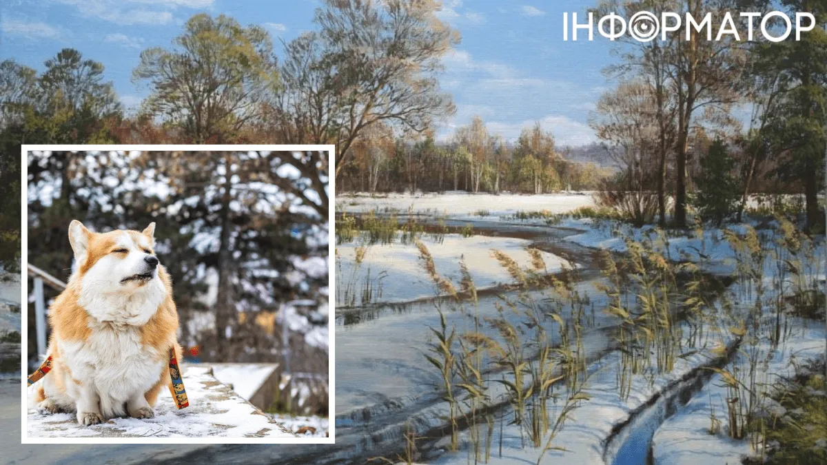 Азійській антициклон набрався сил і прийшов до України – прогноз погоди на 30 січня