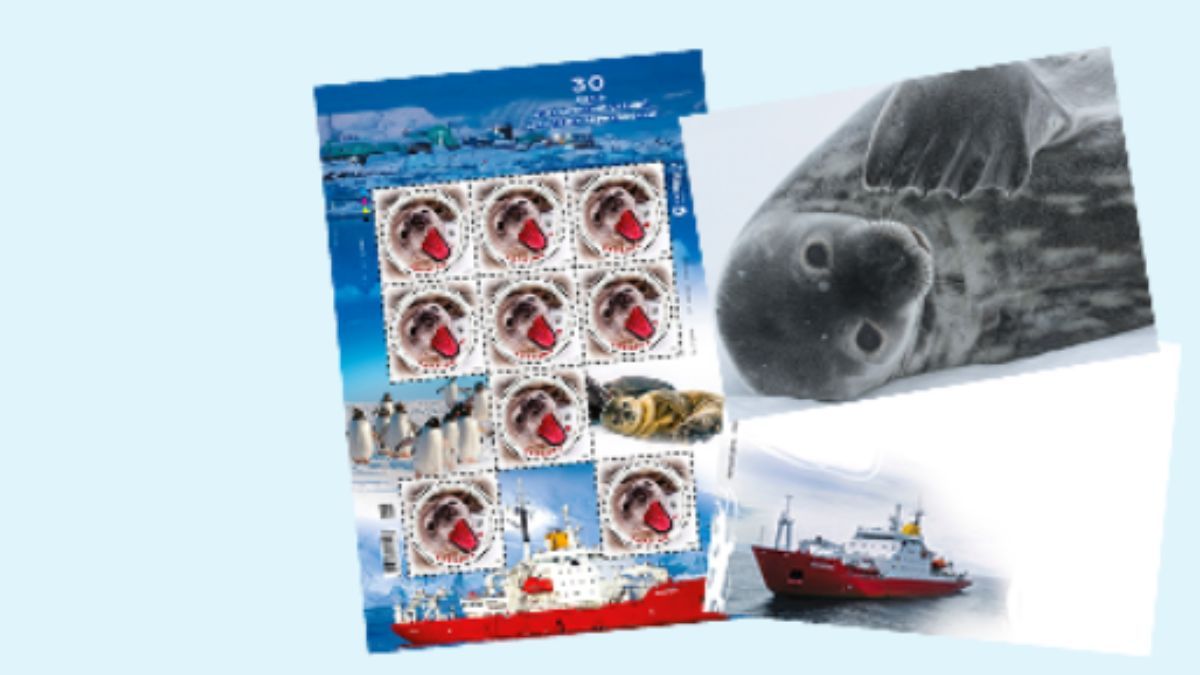 Укрпошта випустила марку з тюленями та пінгвінами