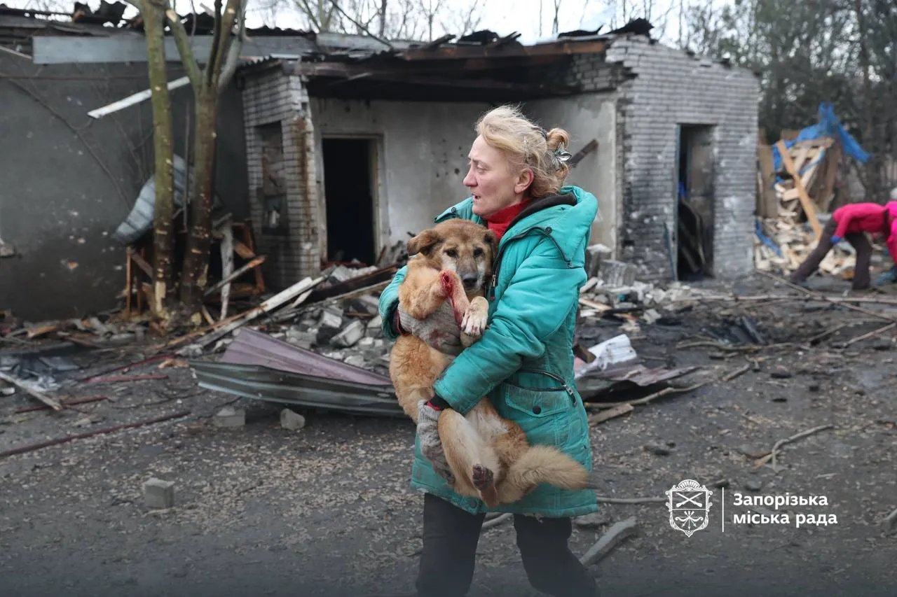 Росіяни ранковим ударом по Запоріжжю пошкодили притулок для собак 2