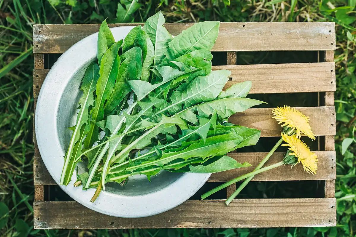 Цей продукт дуже недооцінений