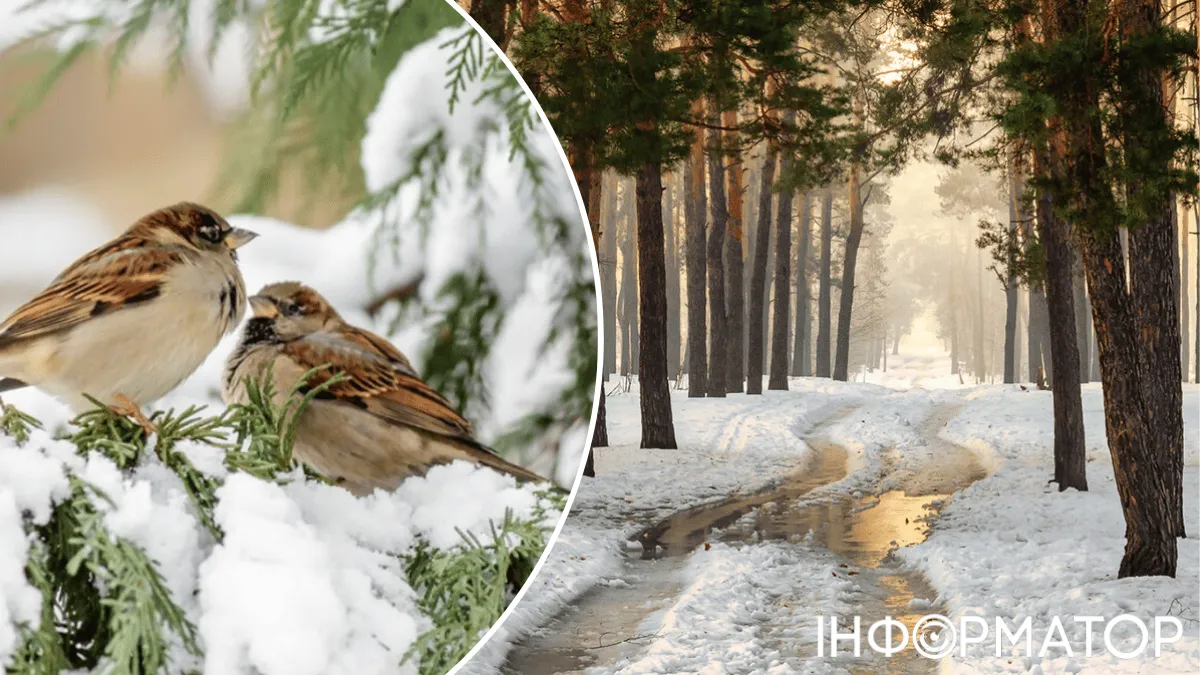 Погода знов змінюватиметься – прогноз синоптиків на 8 лютого