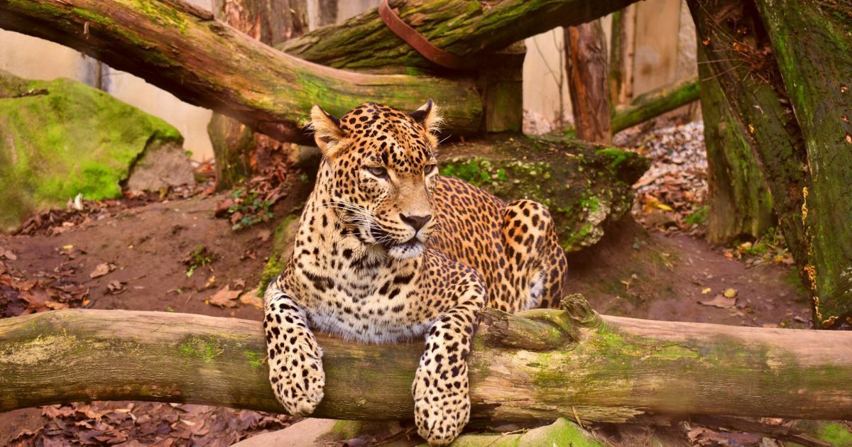 Какой сегодня, 10 февраля, праздник: День безопасного Интернета и домового 5