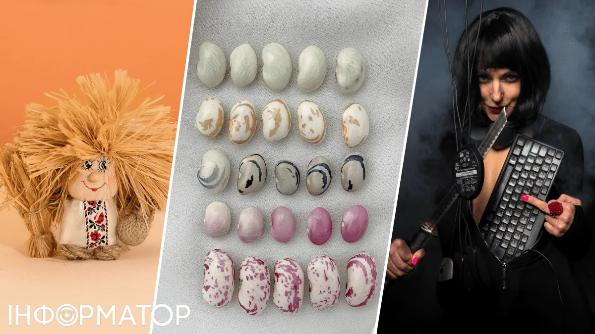 Какой сегодня, 10 февраля, праздник: День безопасного интернета, зернобобовых и домового