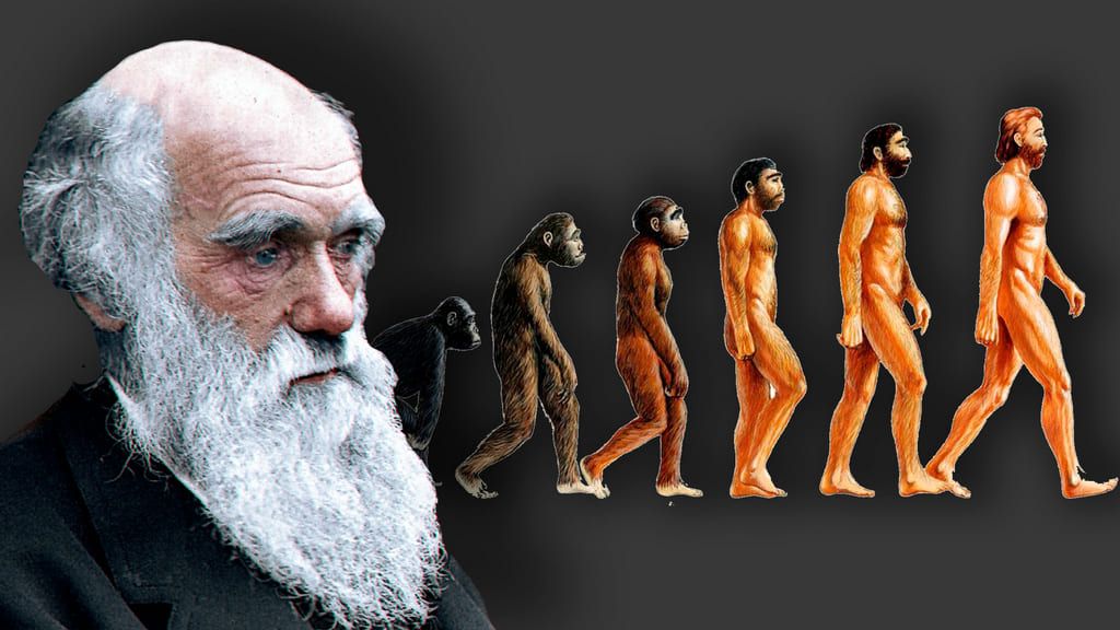 Яке сьогодні, 12 лютого, свято: День Дарвіна та шлюбних агентств 2