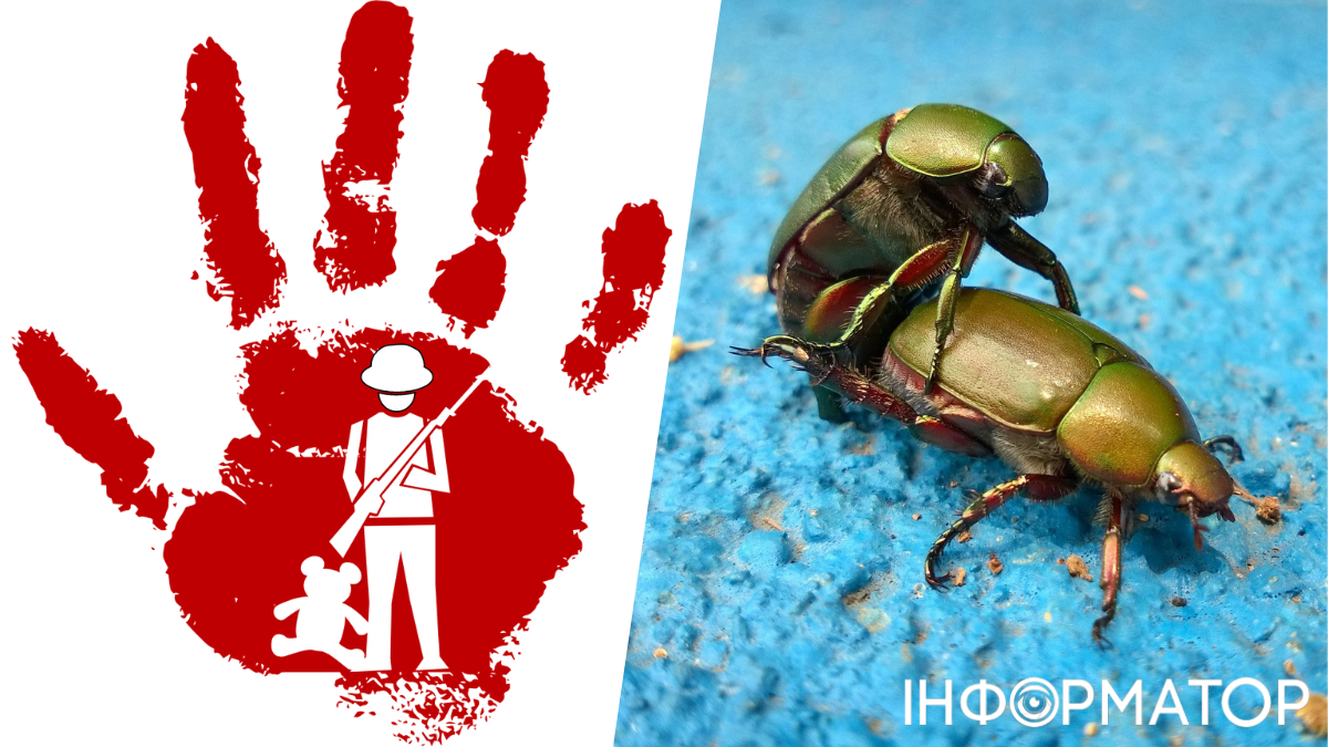 Какой сегодня, 12 февраля, праздник: День красной руки и сексуального здоровья