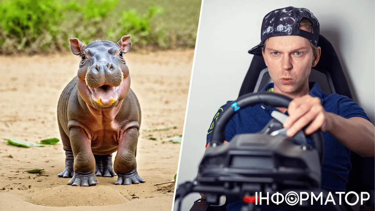 Яке сьогодні, 15 лютого, свято: День кіберспорту в Україні та бегемота