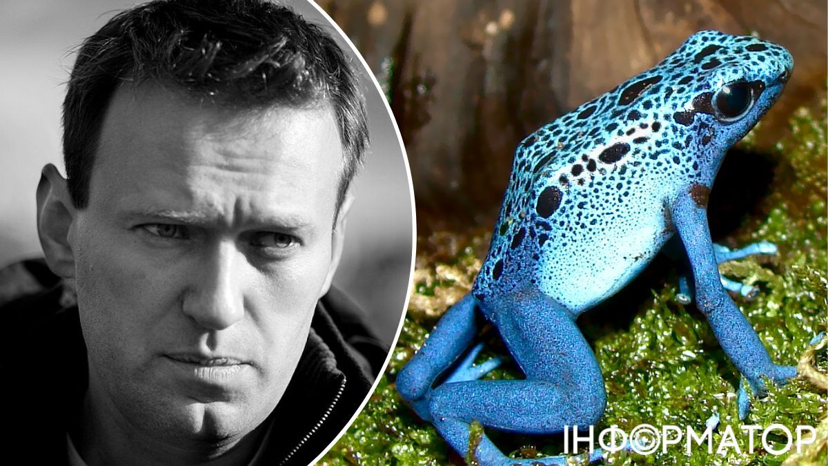 К убийству Навального причастны американские лягушки-дереволазы – эксперты выяснили, чем отравили российского оппозиционера