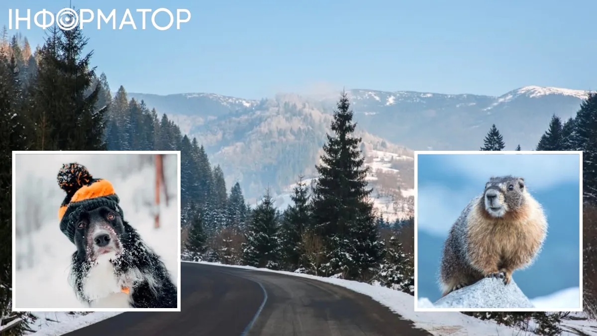 Україні протриматися залишилося зовсім недовго – прогноз погоди на 20 лютого