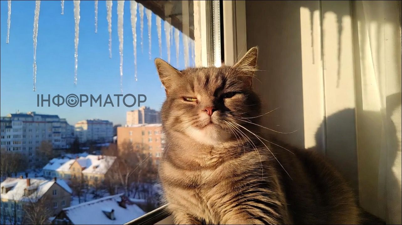 Гороскоп на 22 февраля: день объятий, вкусов и покоя