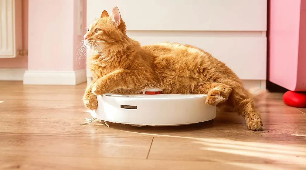 Как оказалось, робот-пылесос может стать шпионом в вашем доме