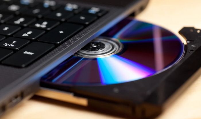 Яке сьогодні, 2 березня, свято: Всесвітній день тенісу та порятунку котів 4