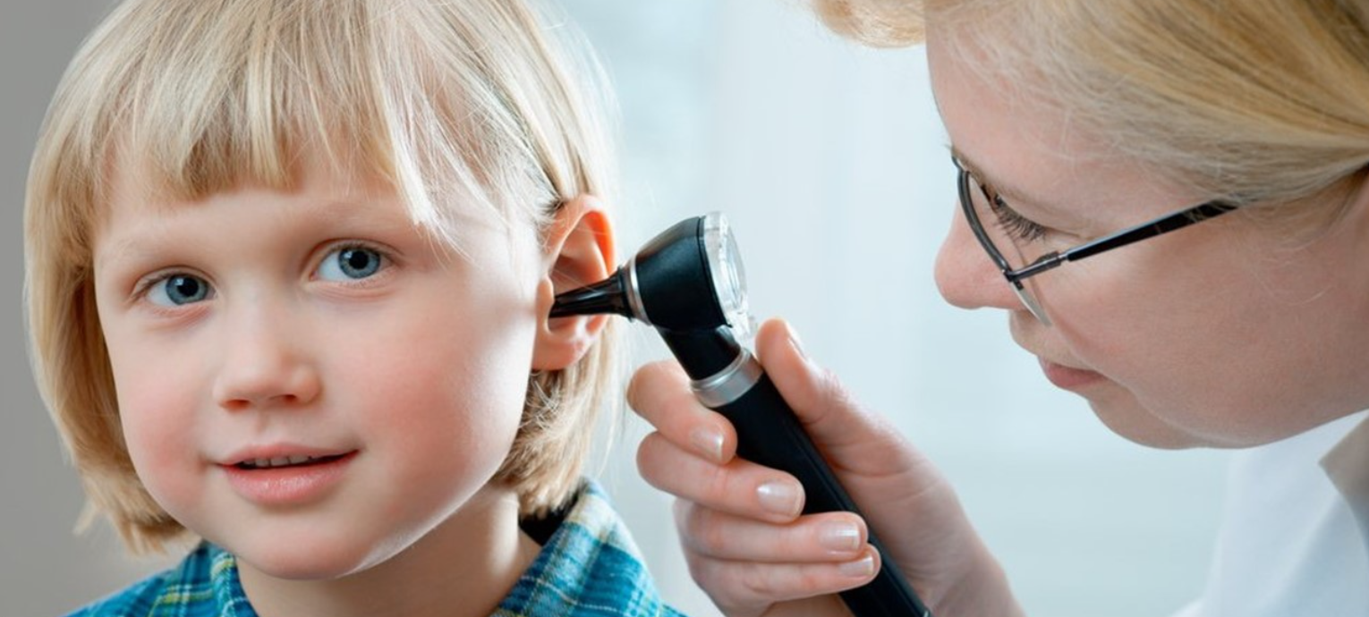 Вуха допомагають людині тримати рівновагу Яке сьогодні, 3 березня, свято: Всесвітній день дикої природи та ірландського віскі 2