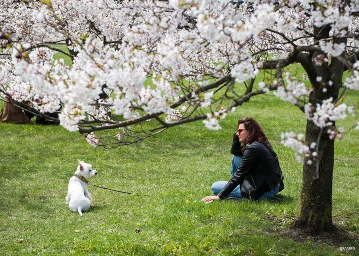 К середине марта погода будет неоднородной