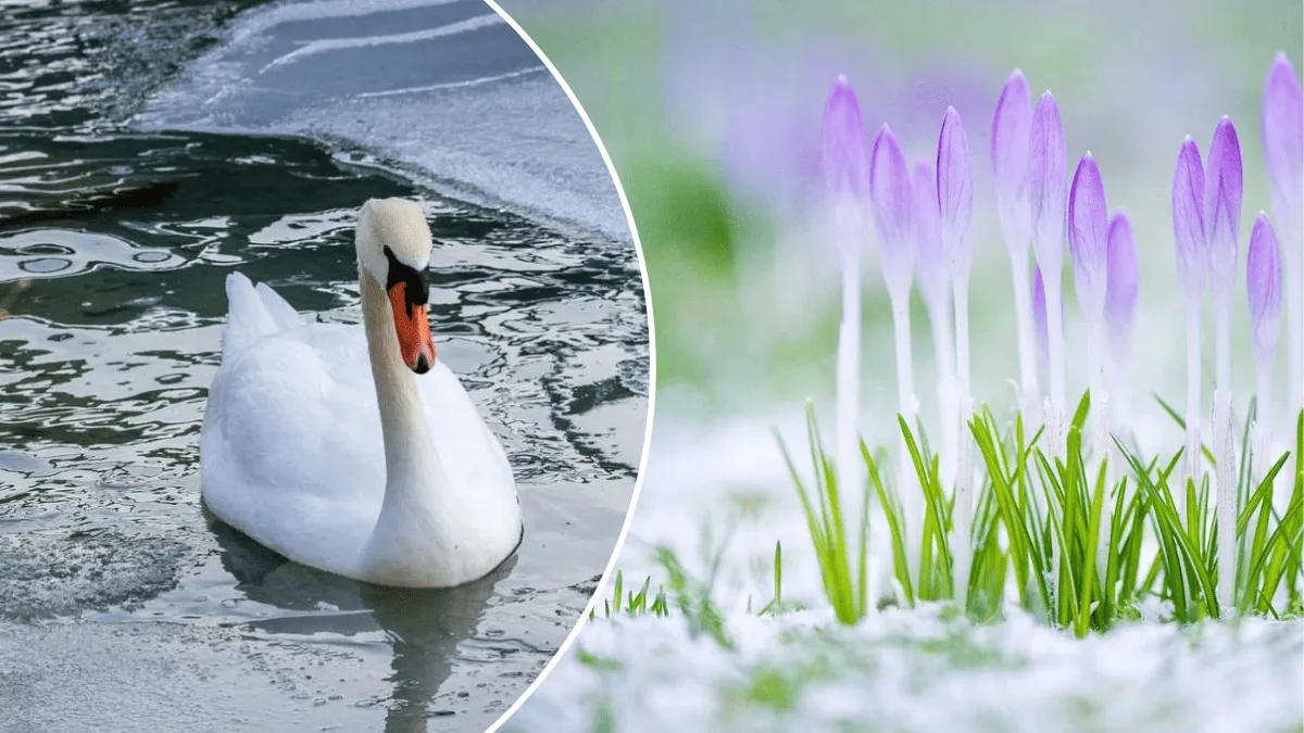 Наступление холодов на весну - прогноз погоды на 3 марта