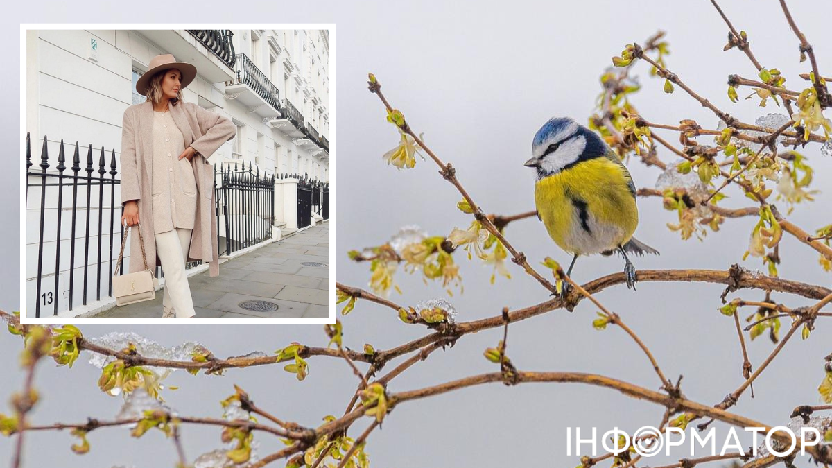 Гололедица проигрывает, весна побеждает – прогноз погоды на 7 марта