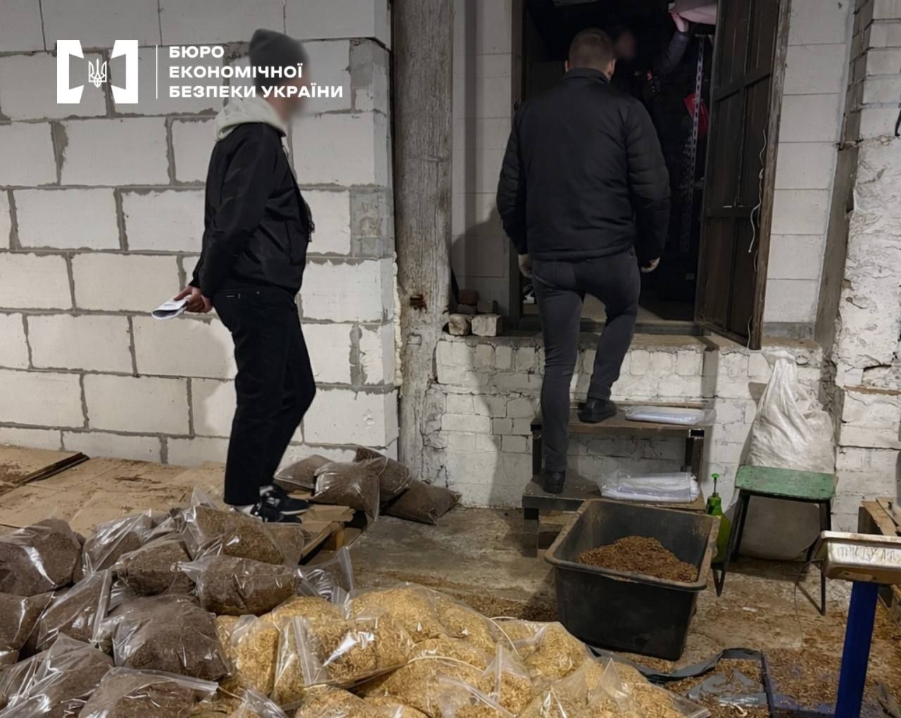 БЕБ на Полтавщині викрило підпільне виробництво тютюну: за три роки реалізували продукції на 49 млн грн 1