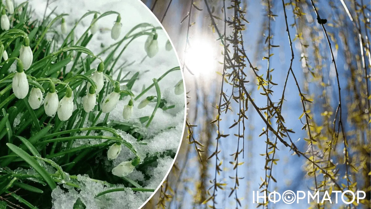 Літо в Україну прийде не за графіком – прогноз погоди на 11 березня