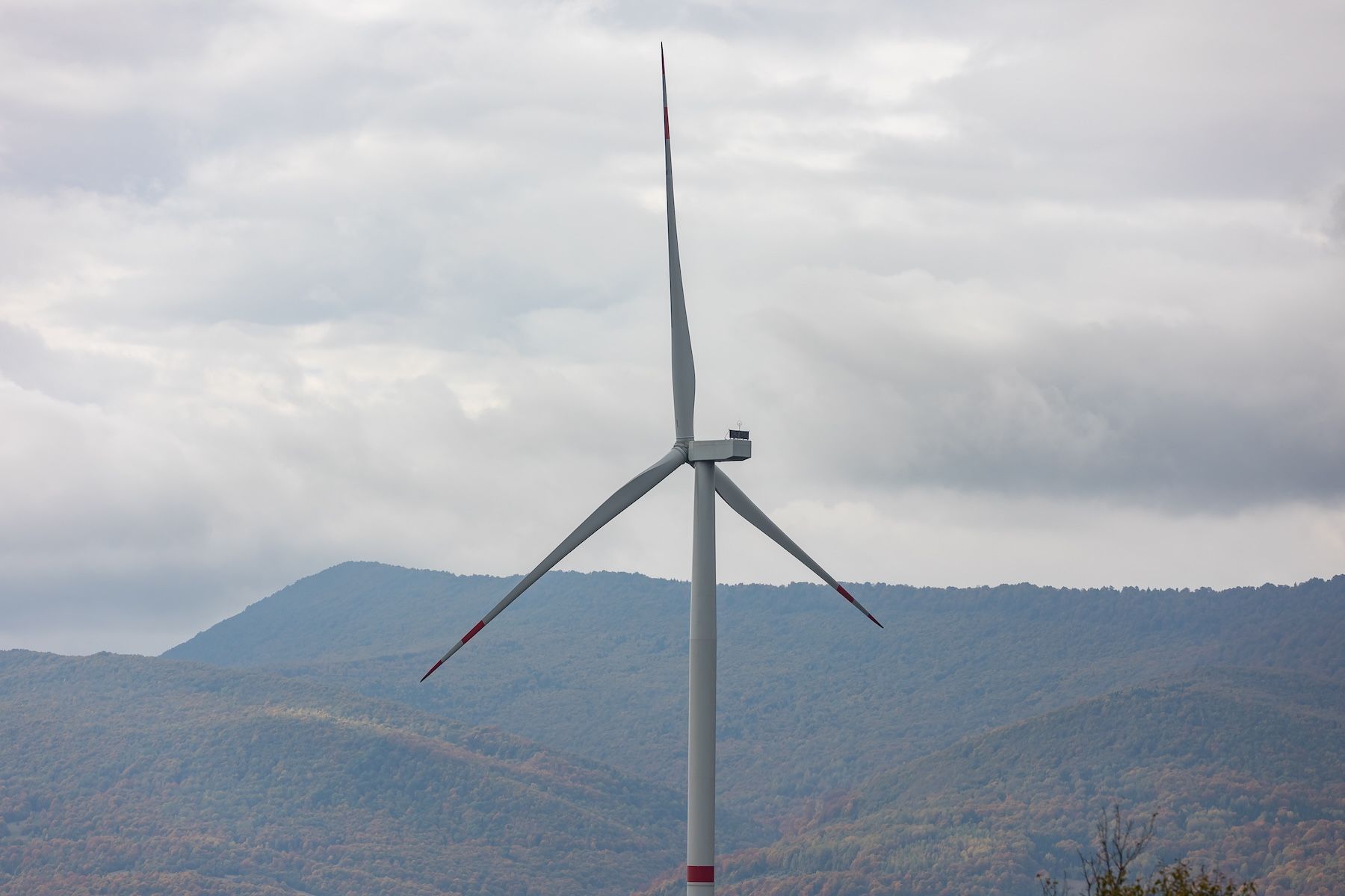 80 МВт нової генерації: як на Закарпатті працює перша ВЕС 1