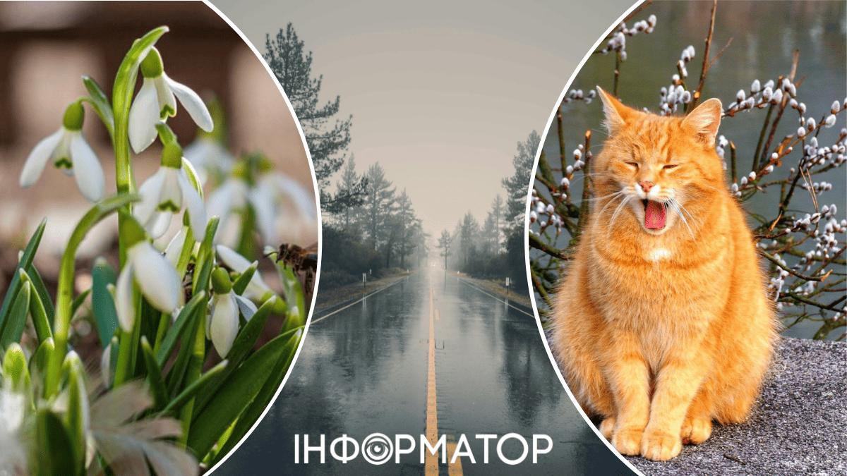 В Украине пройдут первые весенние дожди – прогноз погоды на 17 марта