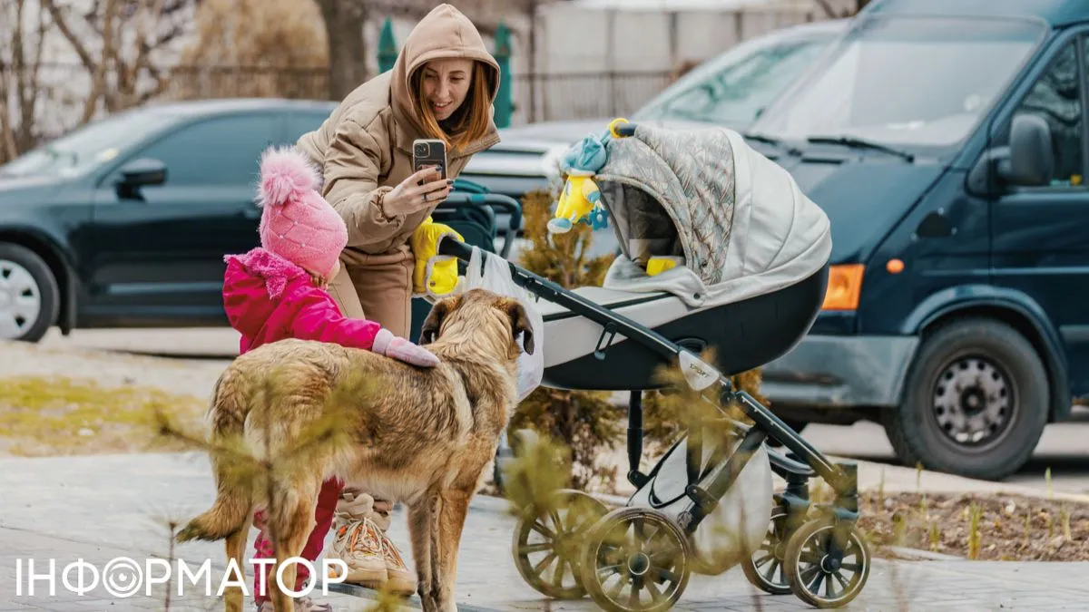Шахраї обіцяють фейкові виплати від ООН та Укренерго: суть схеми