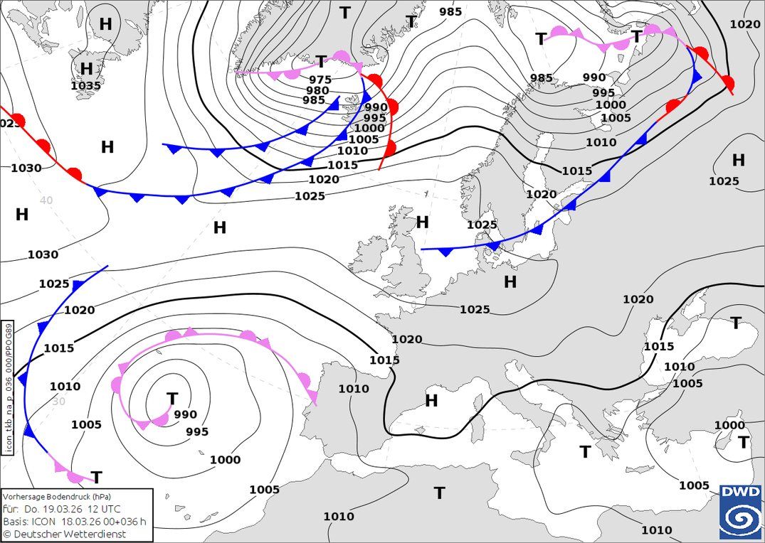 Окклюзия отмечена сиреневым