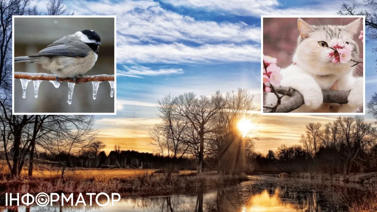 З морозами не пощастило лише двом областям України – прогноз погоди на 21 березня