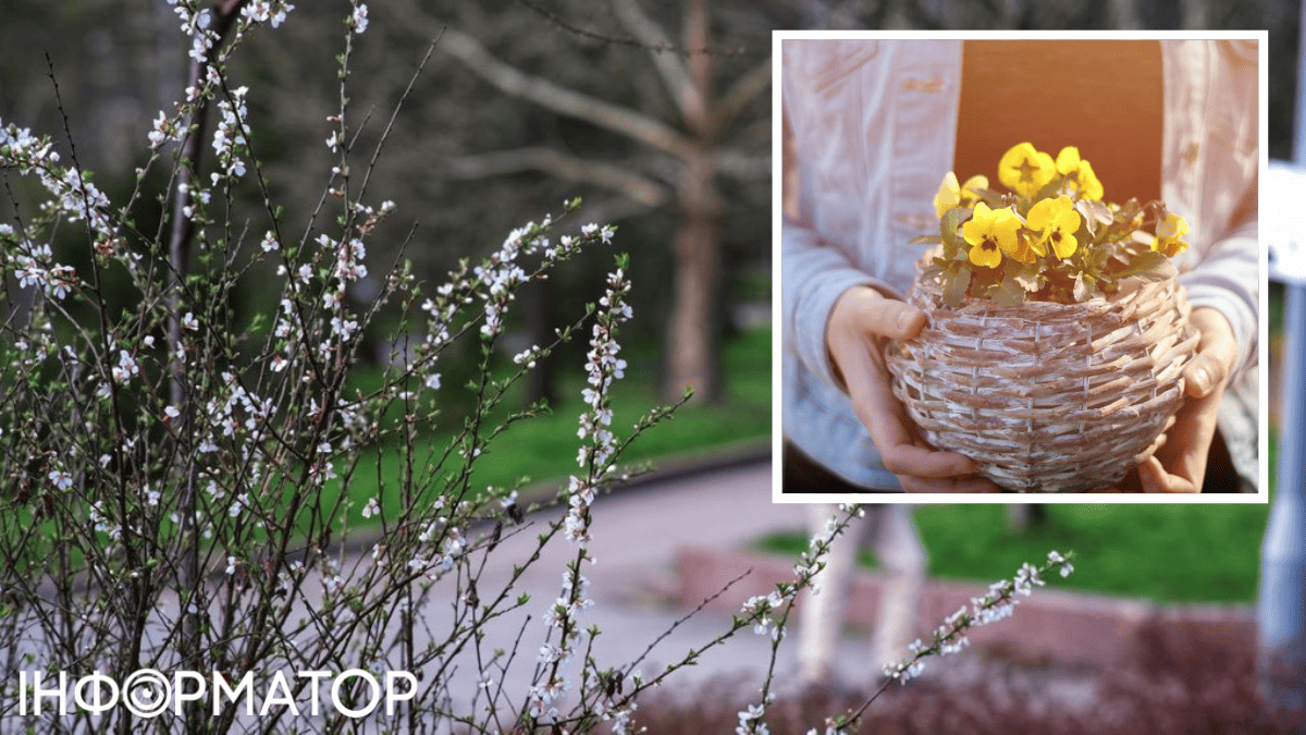 Не исключено, что ещё будет мокрый снег — прогноз погоды на 22 марта