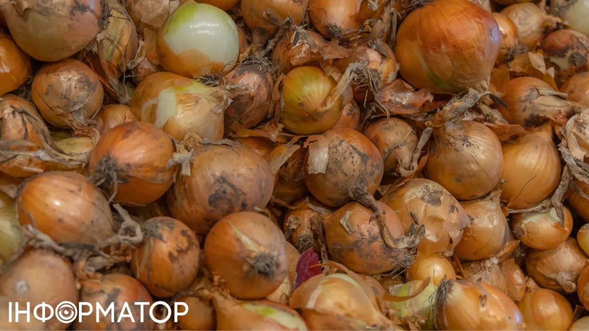 Дешевше лише даром: огляд цін на цибулю в супермаркетах