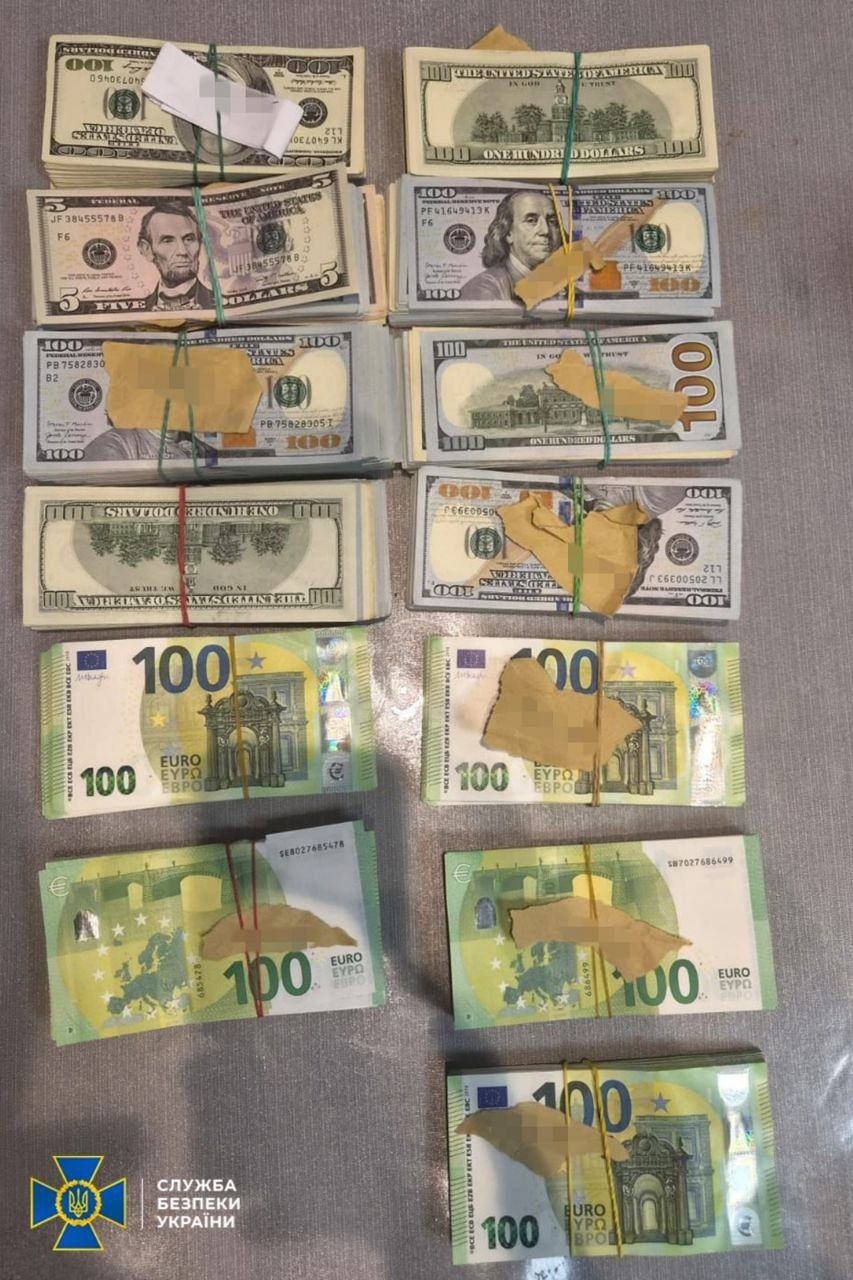 Пачки доларів, євро