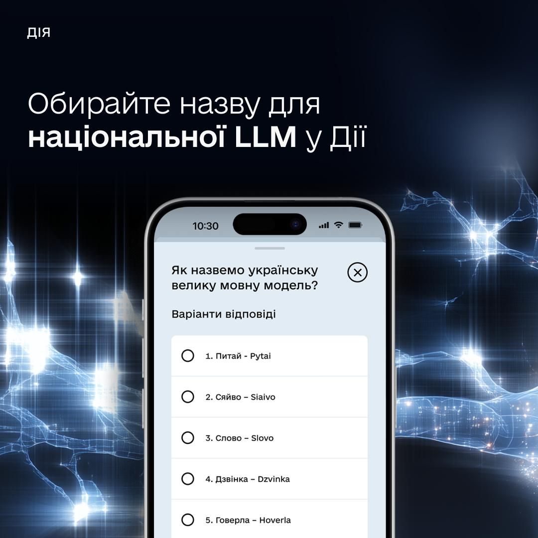 Голосування у Дії Фото: Мінцифра Голосування у Дії Фото: Мінцифра