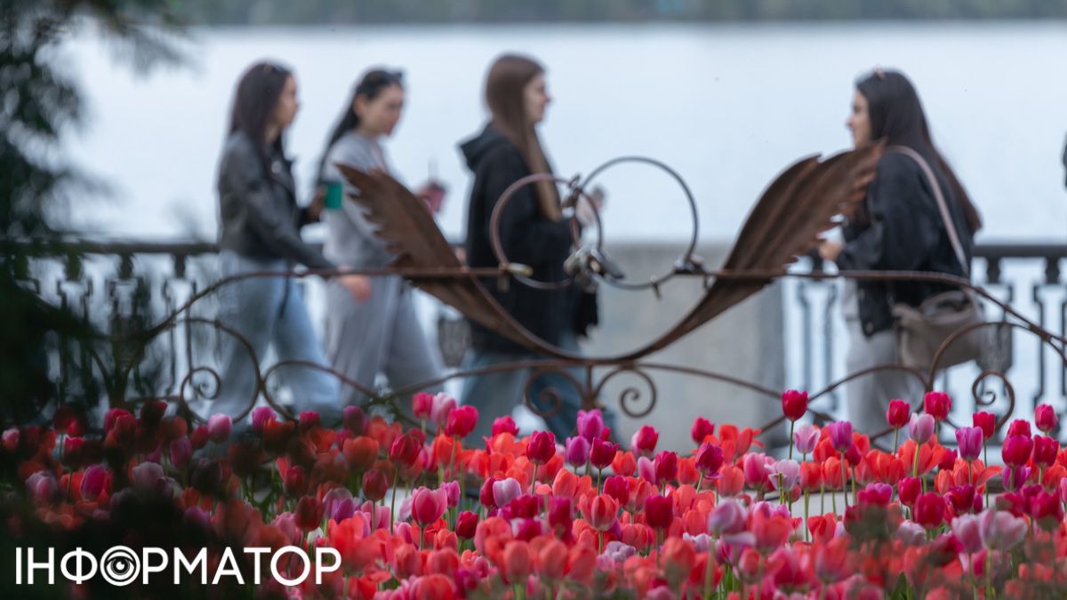 Перейти c временной защиты на ВНЖ в ЕС: самые простые страны для украинцев в 2026 году