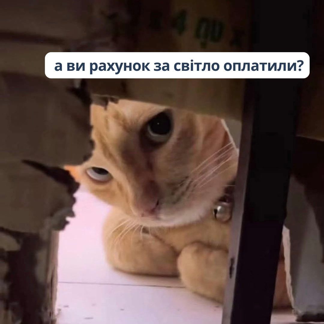 А ви сплатили за світло? Фото YASNO А ви сплатили за світло? Фото YASNO