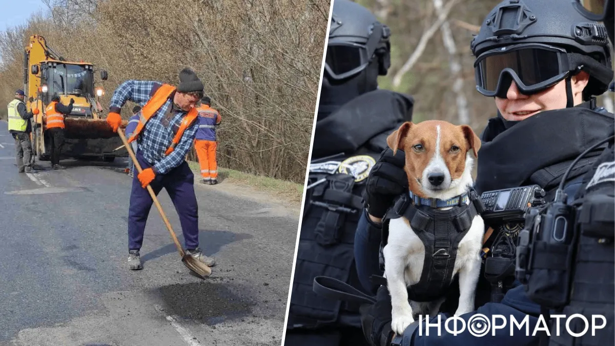 Яке сьогодні, 2 квітня, свято: День кінолога України та обслуговування доріг